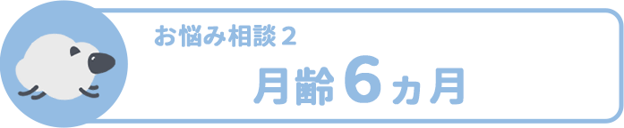 お悩み相談2 月齢6ヵ月